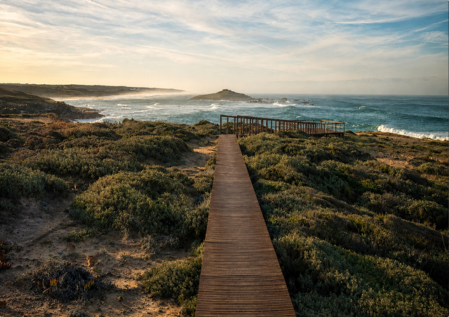 The Atlantic Trail Experience